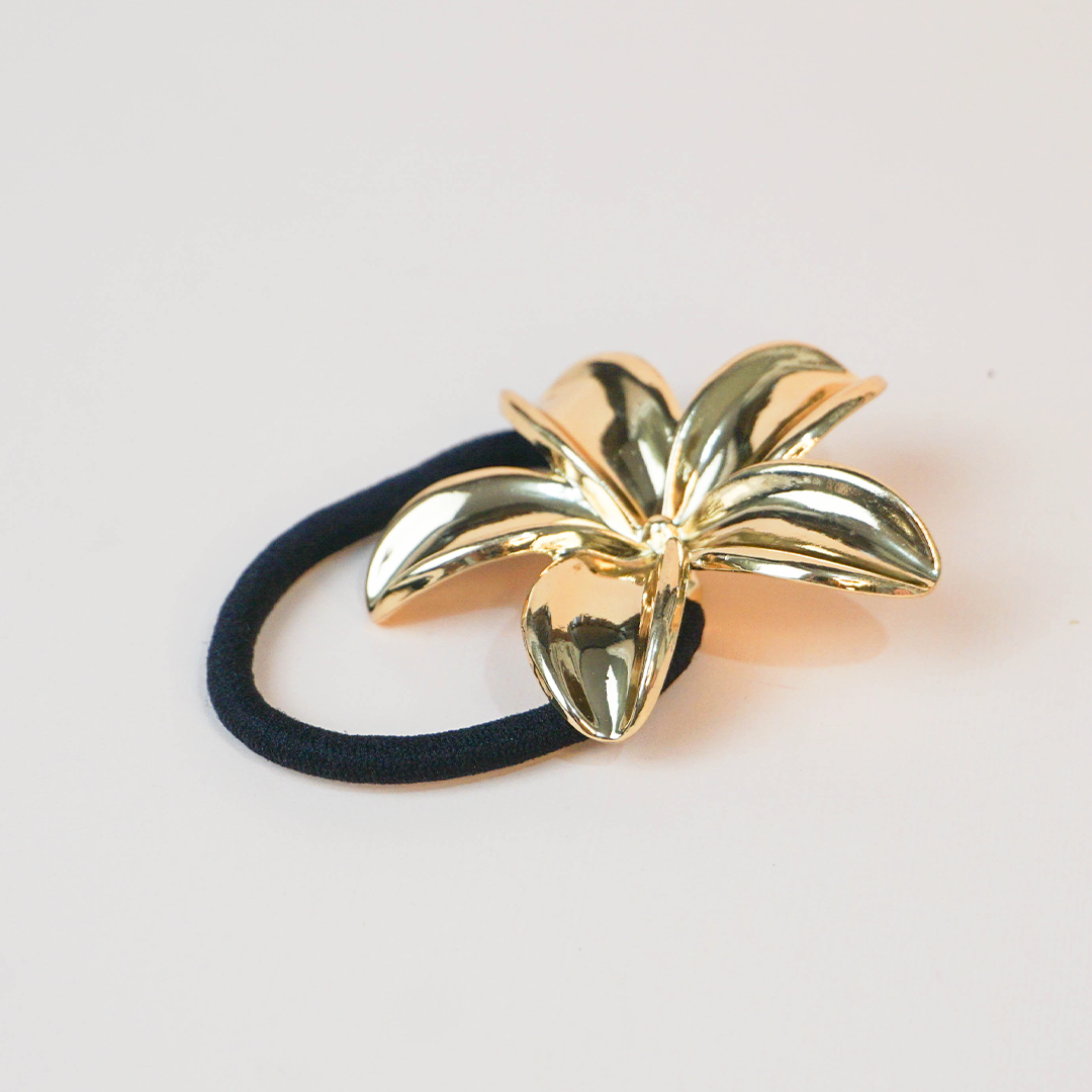 Accesorio cabello