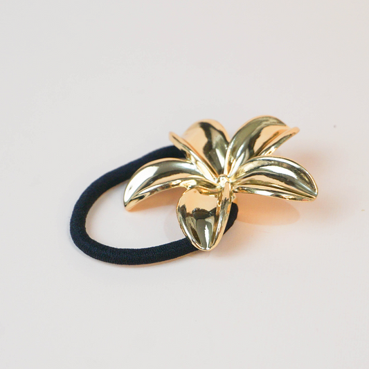 Accesorio cabello