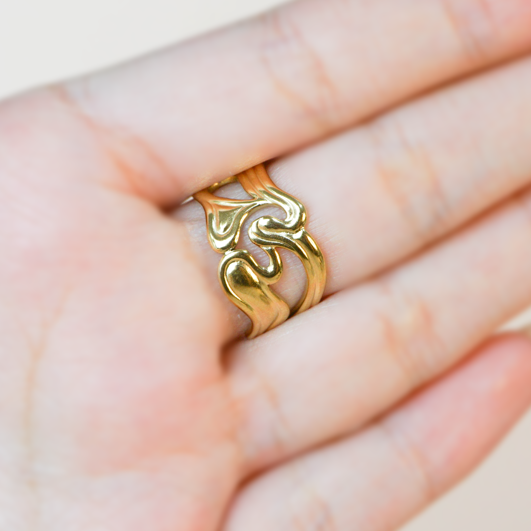 Anillo mareas