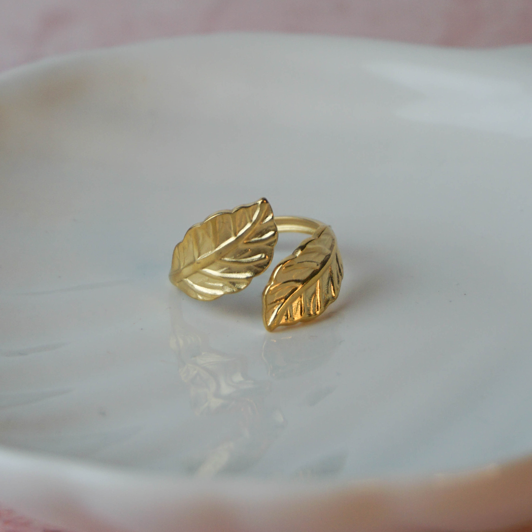 Anillo Natura