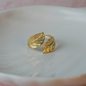 Anillo Natura