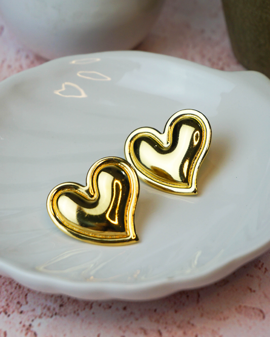 Aretes Ania