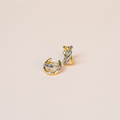 Aretes Xime bicolor