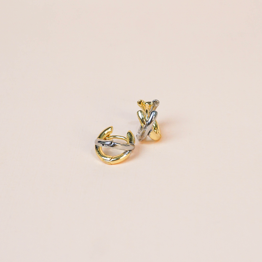Aretes Xime bicolor