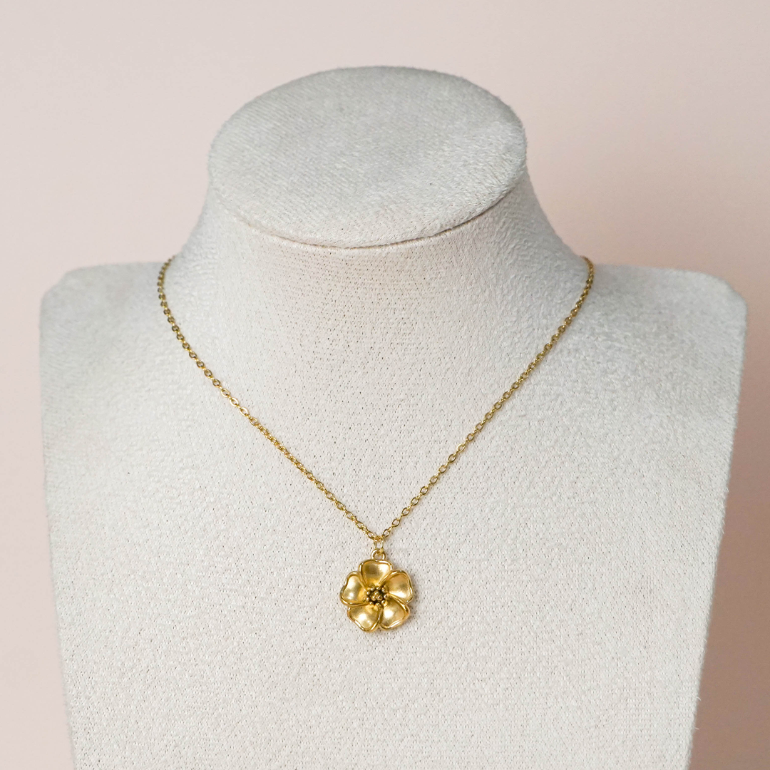 Collar Pamplona
